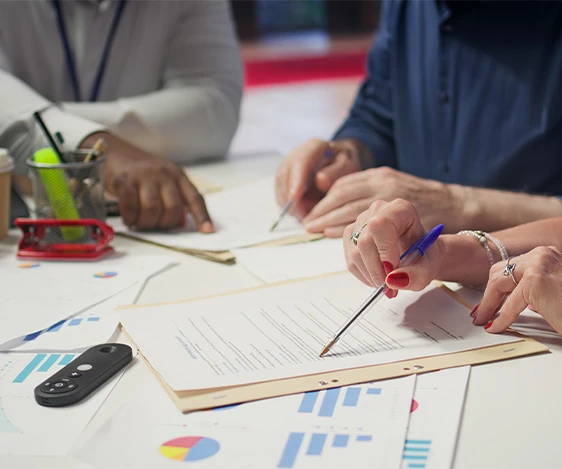 Our Audit Support Services Include