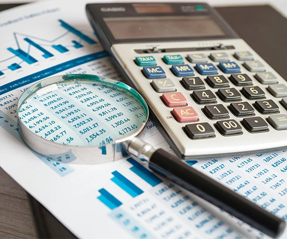 Who Needs Audit Support Services?
