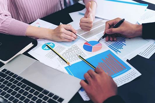 Professional Audit Support Services for Businesses